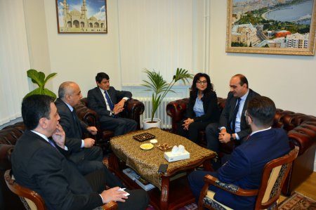 Komitənin yanlış seçimi, yoxsa... - 