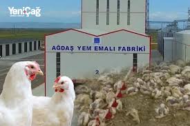 Siyəzəndə “zəhərli yem” FACİƏSİ: 100 minlik ziyan, saxta sənədlər, vergidən yayınma – 