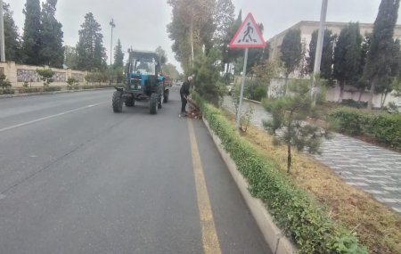 Tərtər şəhəri ərazisində növbəti iməclik aksiyası keçirilib