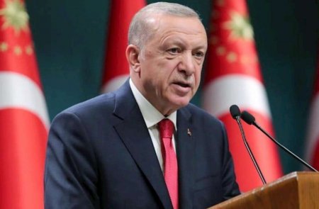 Ərdoğan qərar verdi - 