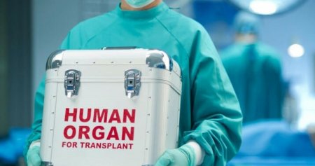 Ölümündən sonra orqanlarını bağışlamaq istəyənlərin sayı artıb - 