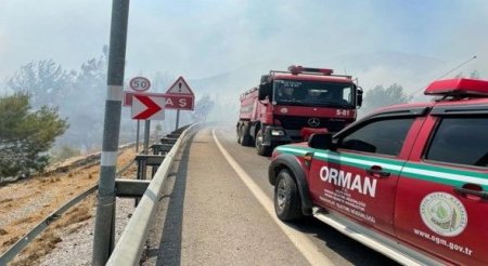 Söndürülməmiş siqaret kötüyü meşə yanğınına səbəb oldu - 