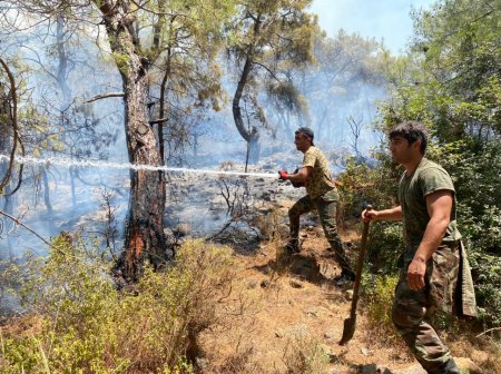 FHN Marmarisdə yanğının genişlənməsinin qarşısını aldı -  