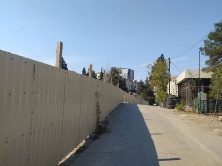 “Garant İnşaat” MTK Nəsimi rayonunda bina tikmək üçün ağacları məhv edib – 