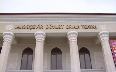 İntiqam Soltan direktor təyin olundu
