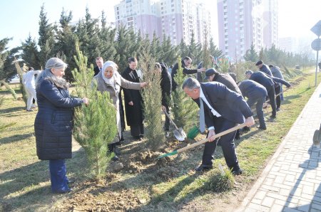 Abşeron rayonunda abadlıq-təmizlik işləri görülüb 