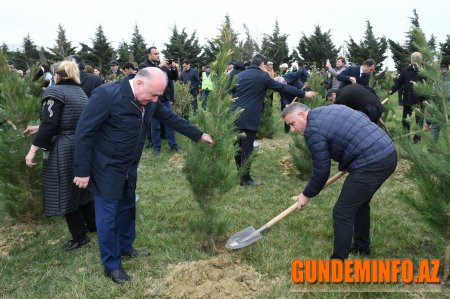 Abşeronda “Heydər Əliyev İli” çərçivəsində ağacəkmə aksiyası keçirilib - 