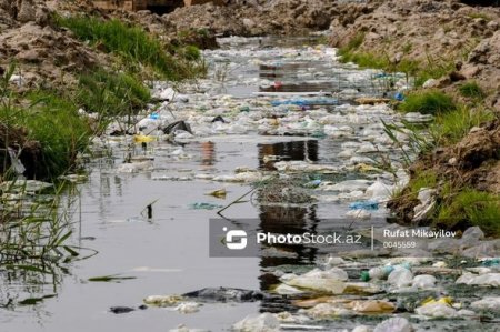 Binəqədinin icra başçısının realist janrda yaratdığı “sənət əsərləri” – 