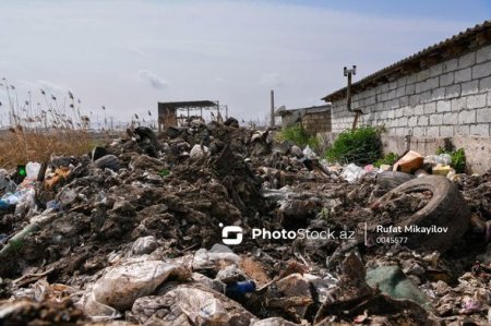 Binəqədinin icra başçısının realist janrda yaratdığı “sənət əsərləri” – 