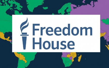 “Freedom House”un arzuladığı xaos -