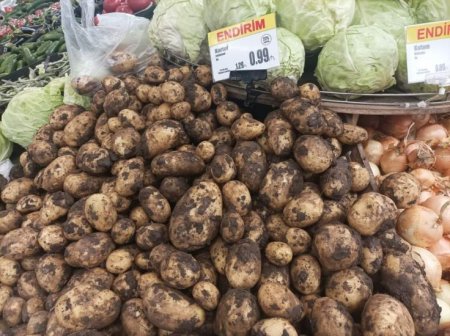 ""Araz Supermarket"də qəşəng palçıq satılır" - 