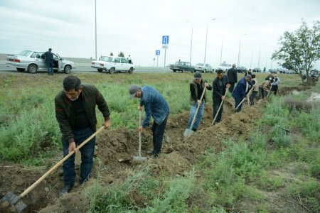 Tərtərdə "Yaşıl dünya naminə həmrəylik ili ilə bağlı ağacəkmə kampaniyasına hazırlıq 