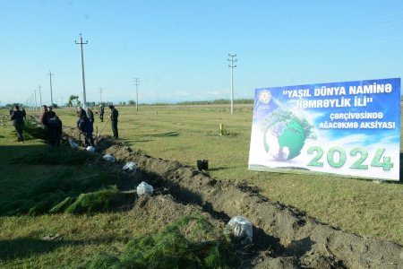 Tərtərdə "Yaşıl dünya naminə həmrəylik ili" çərçivəsində ümumrayon ağacəkmə aksiyası keçirilib