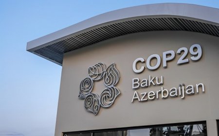 Almaniyanın riyakarlığı, Qərbin reallığı dəyişmək cəhdləri, tarixə düşən COP29 - 