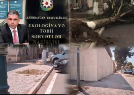 Ağstafada Ümummilli liderin adını daşıyan prospektdə "ekoloji Terror" Ağstafada Ümummilli liderin adını daşıyan prospektdə "ekoloji Terror"